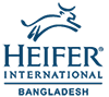Heifer